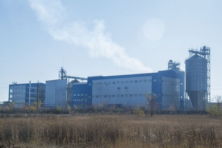 Инвестиции в строительство второго комплекса переработки масличных Ристон ОЙЛ составили €2 млн