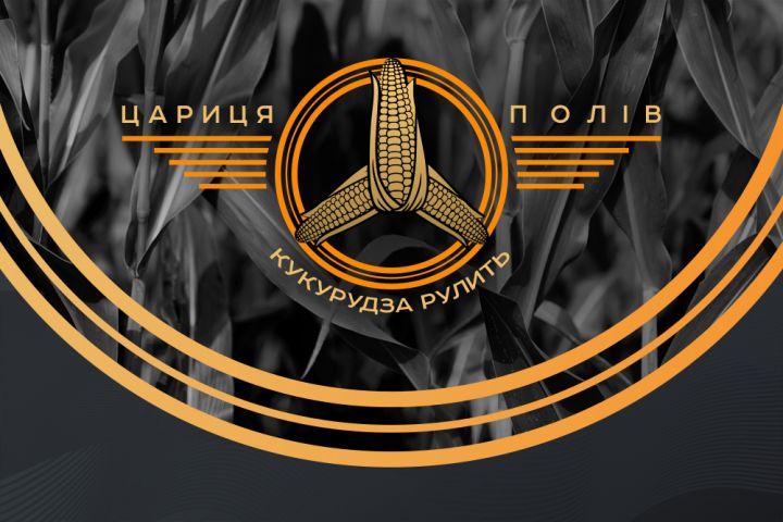 Аграріїв навчать як доробляти, зберігати та продавати кукурудзу