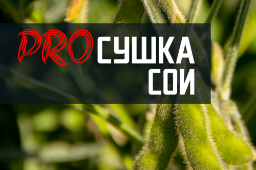ProСушка: Как сушить сою ProСушка: Как сушить сою